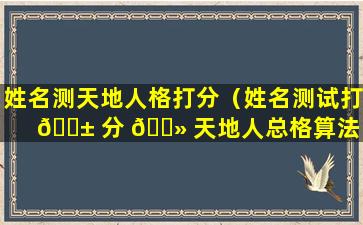 姓名测天地人格打分（姓名测试打 🐱 分 🌻 天地人总格算法）